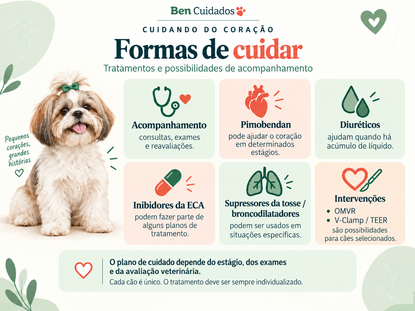 Infográfico: formas de cuidar — acompanhamento, pimobendan, diuréticos, inibidores da ECA, supressores da tosse e intervenções OMVR e V-Clamp/TEER