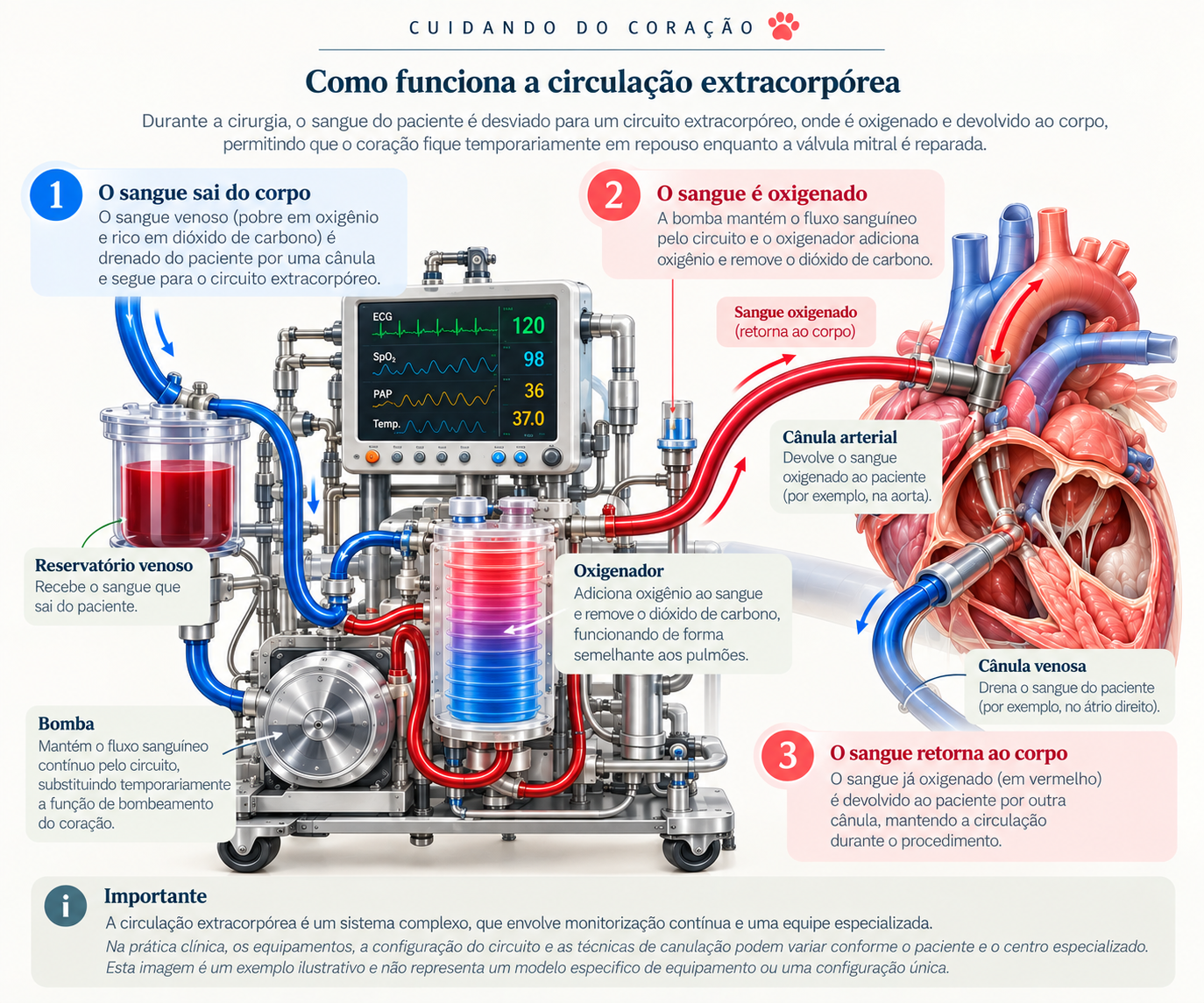 imagem-do-chatgpt-30-de-set-de-2026-12_2